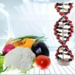 Cuál es el rol de los alimentos sobre el ADN y las alergias