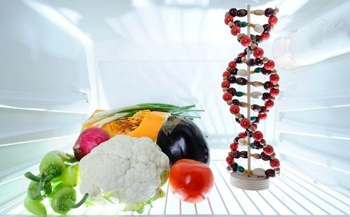 Cuál es el rol de los alimentos sobre el ADN y las alergias