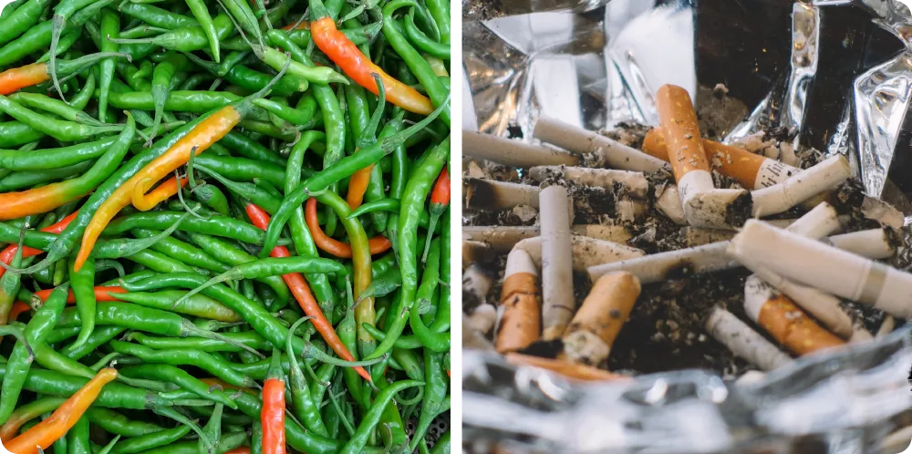 ¿Qué es la intolerancia a las solanáceas?