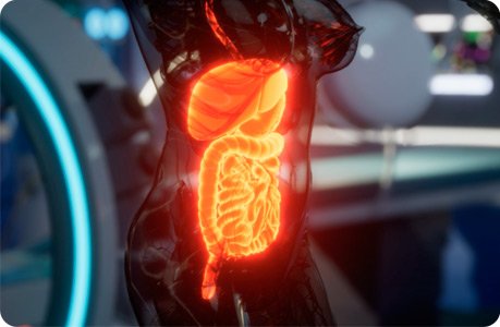 Análisis de Sistema Inmune