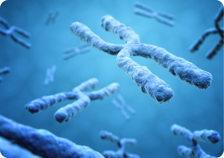 Genética Fertilidad