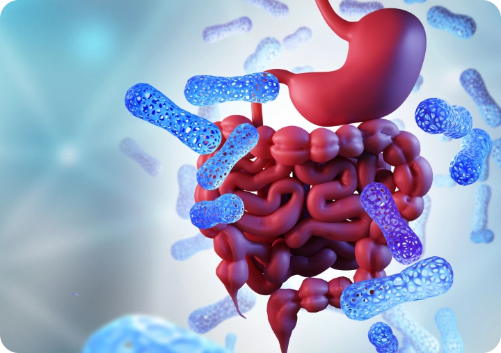 Test de fertilidad online en Argentina