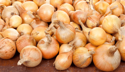 Cebolla
